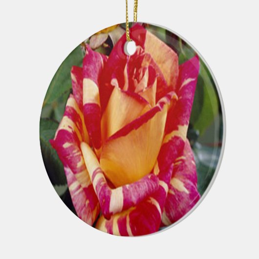 Geel Roze Roses Ornament (Links)