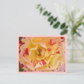 Geel roze roze Percussie Bloem Foto Briefkaarten (Staand voorkant)