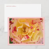 Geel roze roze Percussie Bloem Foto Briefkaarten (Voorkant / Achterkant)