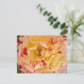 Geel roze roze Percussie Bloem Foto Briefkaarten (Staand voorkant)