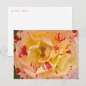 Geel roze roze Percussie Bloem Foto Briefkaarten (Voorkant / Achterkant)