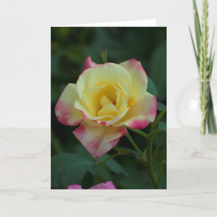 Geel + Roze roze roze _ Frameable Art Card Kaart