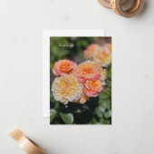 geel & roze rozen notitiekaartje (Voorkant / Achterkant in situ)