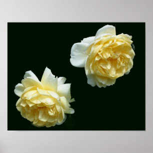 Geel Rozen Bloemen Paar Poster