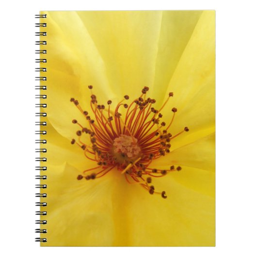 Geel rozenNotitieboek Notitieboek (Voorkant)