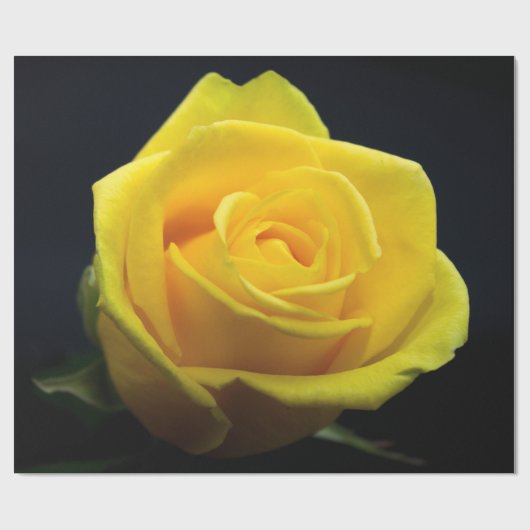 Geel rozenpapier voor Valentijnsdag Cadeaupapier (Vlak)