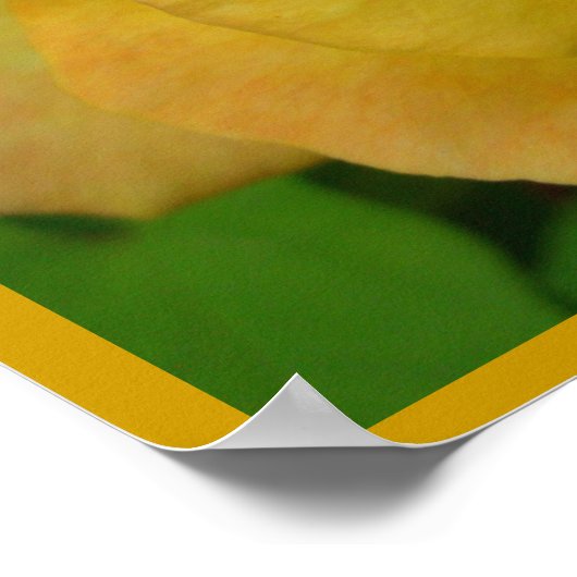 Geel rozenPoster Afdrukken Schitterende aanstekera Poster (Hoek)