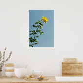 Geel rozenPoster Poster (Keuken)