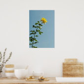 Geel rozenPoster Poster (Keuken)