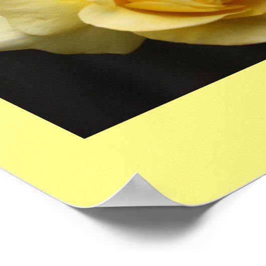 Geel rozenPoster Poster (Hoek)