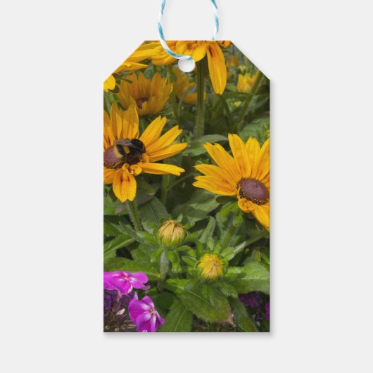 Geel Rudbeckia Flowers Roze Phlox en Bee Cadeaulabel (Voorkant)