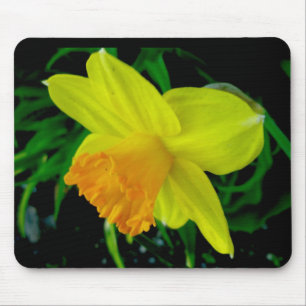 Geel Sinaasappel Daffodil Mousepad Muismat