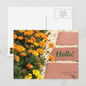 Geel Sinaasappel goudsbloem Briefkaarten (Voorkant / Achterkant)