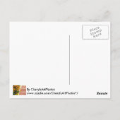 Geel Sinaasappel goudsbloem Briefkaarten (Achterkant)