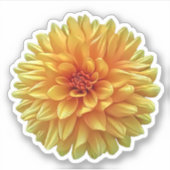 Geel Sinaasappel Ombre Dinner Bord Dahlia Flower Sticker (Voorkant)