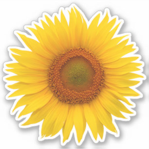 Geel Sinaasappel Zonnebloem Kiss-Cut Sticker