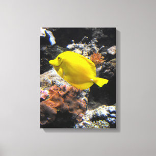 Geel tang vis canvas afdruk