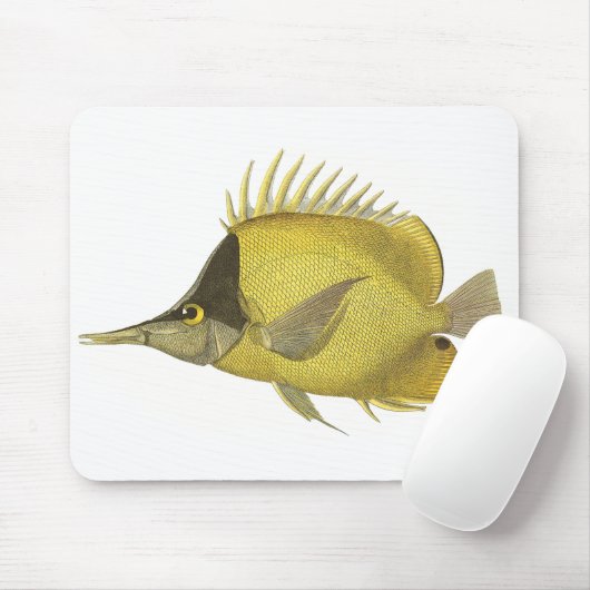 Geel Tropische Chelmon longirostris,  Vis Muismat (Met muis)