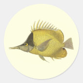 Geel Tropische Chelmon longirostris,  Vis Ronde Sticker (Voorkant)