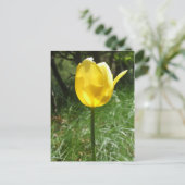 Geel Tulp Briefkaart (Staand voorkant)