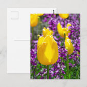Geel Tulp Briefkaart (Voorkant / Achterkant)