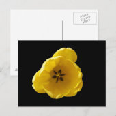 Geel Tulp Briefkaart (Voorkant / Achterkant)