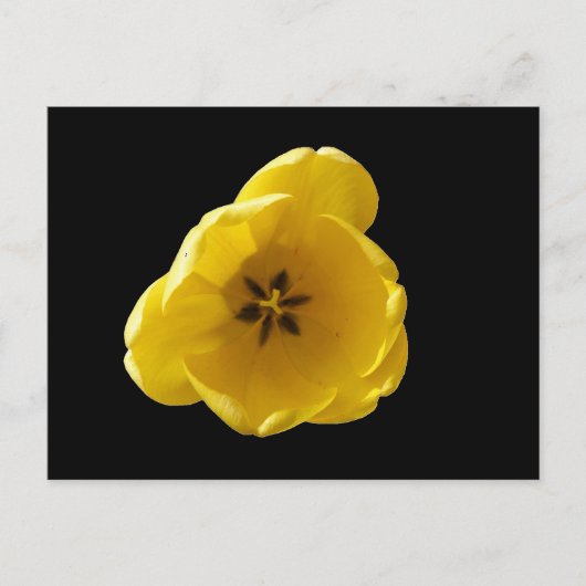 Geel Tulp Briefkaart (Voorkant)