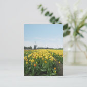 Geel Tulp Flowers Field & Windmill Holland Briefkaart (Staand voorkant)