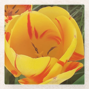 Geel Tulp Onderzetter