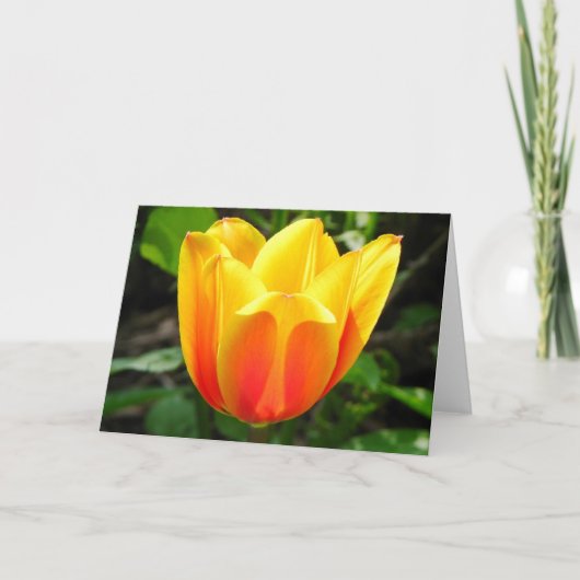 Geel Tulp Wenskaart Kaart (Voorkant)