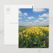 Geel TulpenBriefkaart Briefkaart (Voorkant / Achterkant)
