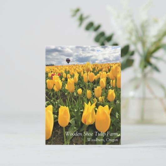 Geel Tulpveld met Briefkaart voor luchtballon (Staand voorkant)