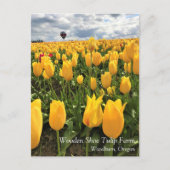 Geel Tulpveld met Briefkaart voor luchtballon (Voorkant)