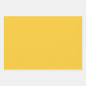 Geel Turquoise Solid Waterverf Floral Pattern Inpakpapier Vel (Voorkant 2)