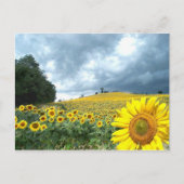 Geel veld briefkaart (Voorkant)