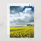 Geel veld briefkaart (Voorkant / Achterkant)