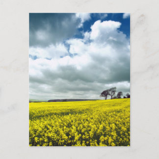 Geel veld briefkaart
