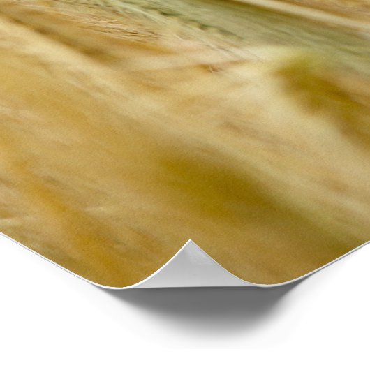 Geel veld en blauwe heuvels poster (Hoek)