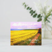 Geel veld en witte kliffen van het eiland Wight Briefkaart (Staand voorkant)