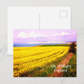 Geel veld en witte kliffen van het eiland Wight Briefkaart (Voorkant / Achterkant)