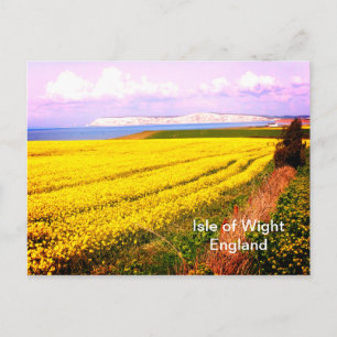 Geel veld en witte kliffen van het eiland Wight Briefkaart