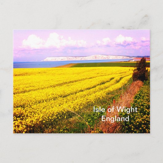 Geel veld en witte kliffen van het eiland Wight Briefkaart (Voorkant)