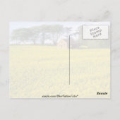 geel veld koolzaad in North Yorkshire Briefkaart (Achterkant)