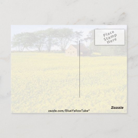 geel veld koolzaad in North Yorkshire Briefkaart (Achterkant)