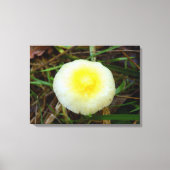 Geel Veld Pet Mushroom Canvas Print (Voorkant)