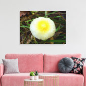 Geel Veld Pet Mushroom Canvas Print (Insitu (Woonkamer))