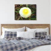 Geel Veld Pet Mushroom Canvas Print (Insitu (Slaapkamer))