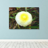 Geel Veld Pet Mushroom Canvas Print (Insitu (Houten vloer))
