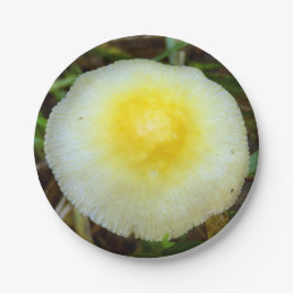 Geel Veld Pet Paddenstoel Papier Borden Papieren Bordje