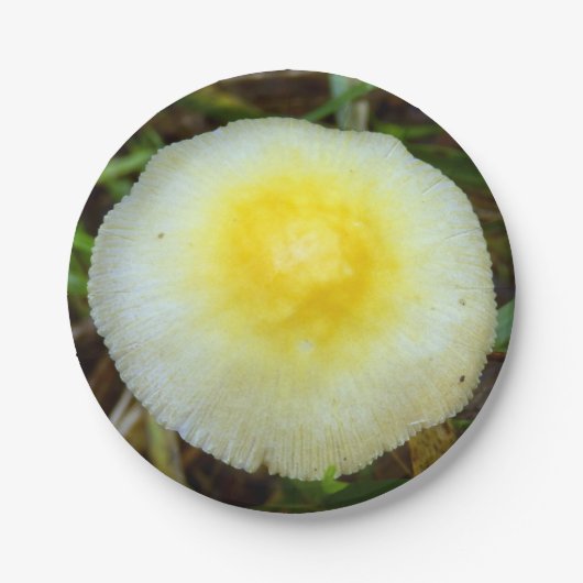 Geel Veld Pet Paddenstoel Papier Borden Papieren Bordje (Voorkant)